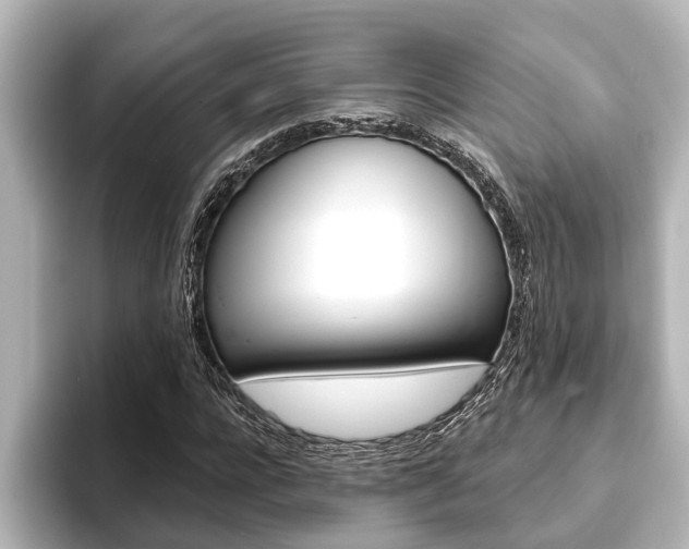 X0000093740920200710160747