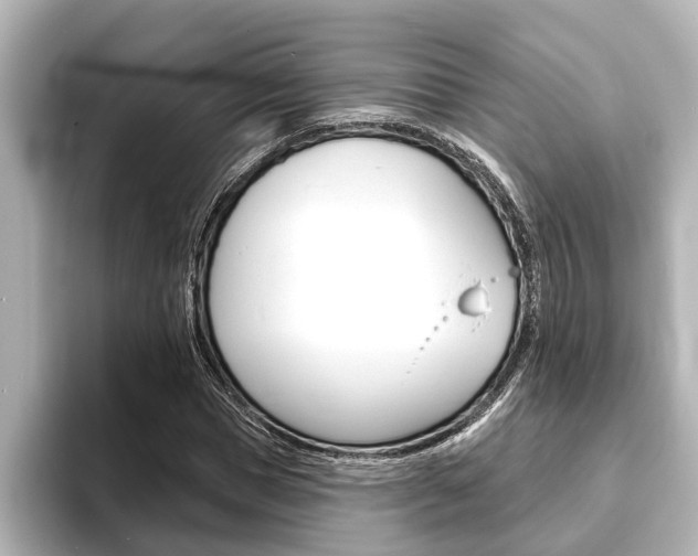 X0000093740921200710160747