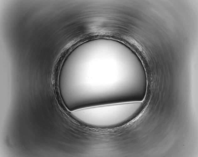 X0000093740922200710160747