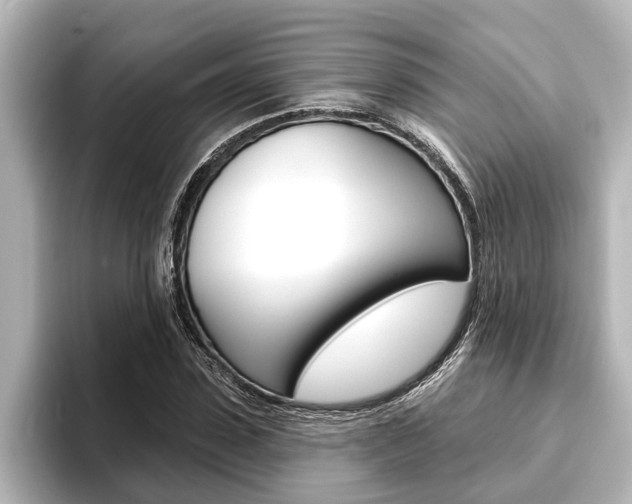 X0000093740923200710160747