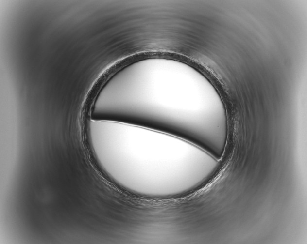 X0000093740926200710160747