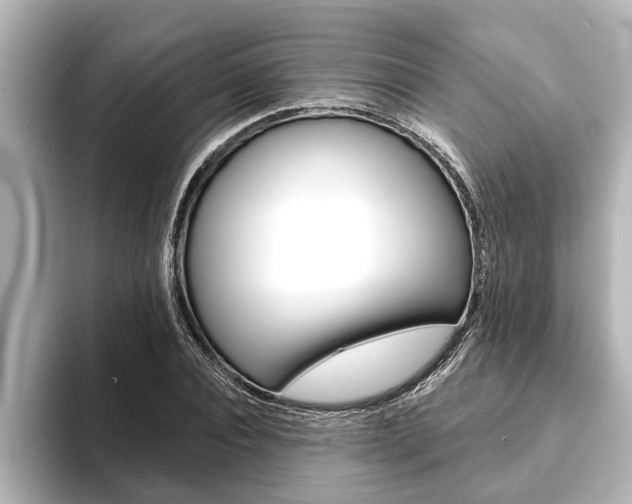 X0000093740928200710160747