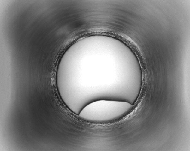 X0000093740929200710160747