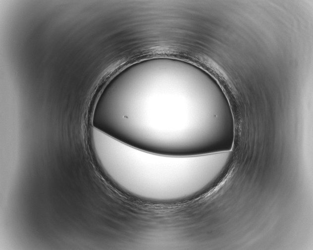 X0000093740930200710160747
