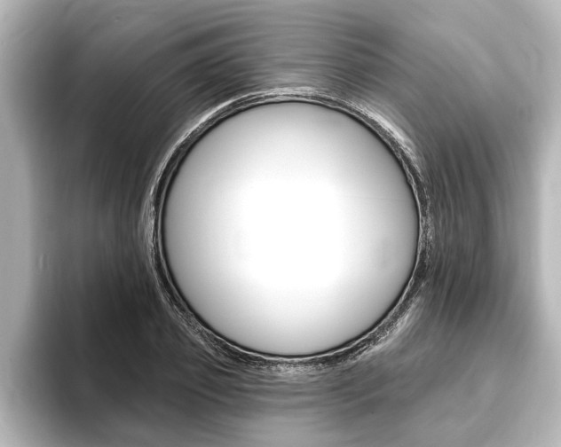 X0000093740933200710160747