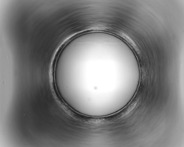 X0000093740939200710160747