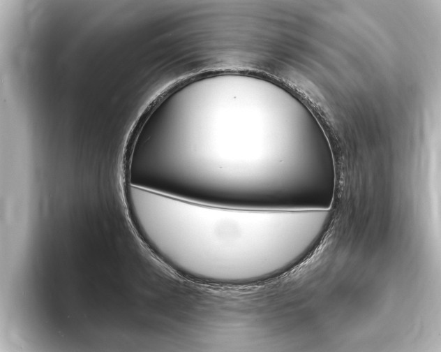 X0000093740942200710160747