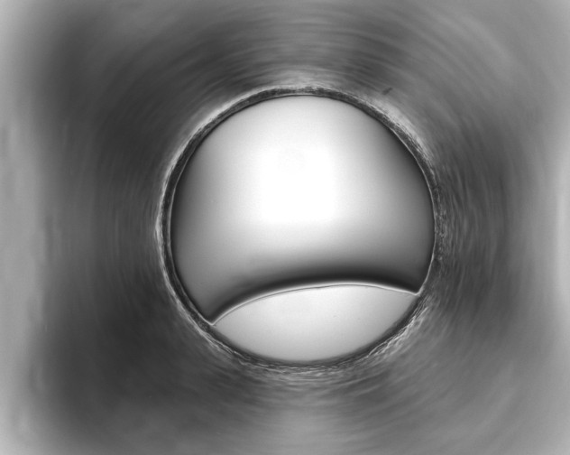 X0000093740943200710160747
