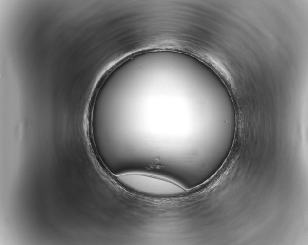 X0000093740944200710160747