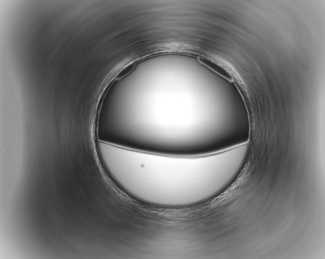 X0000093740946200710160747