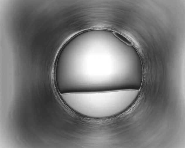 X0000093740948200710160747