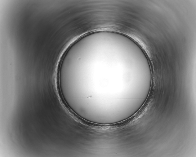 X0000093740949200710160747
