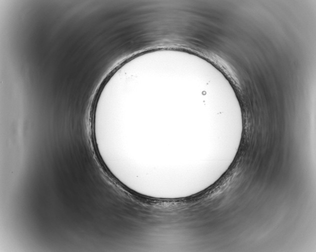 X0000093740950200710160747