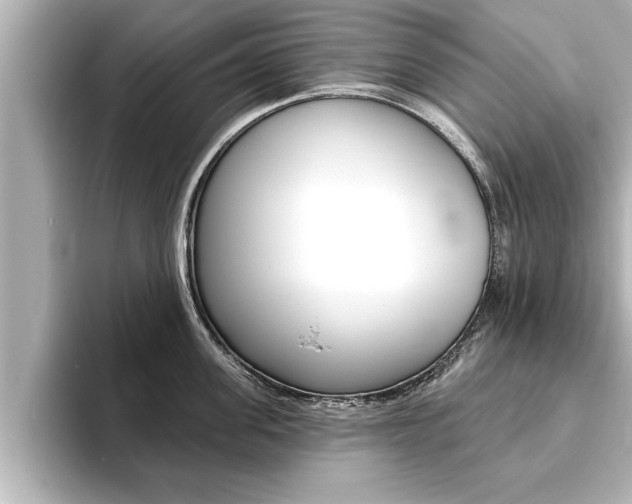 X0000093740955200710160747