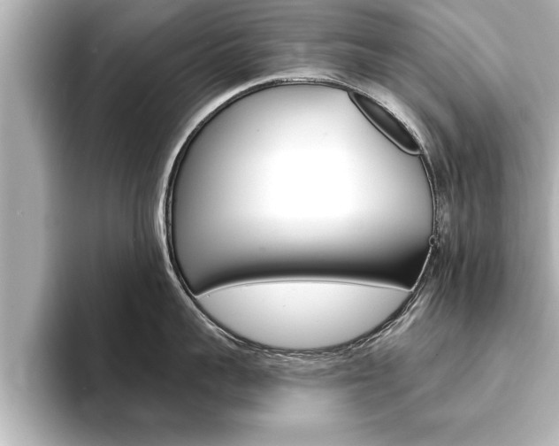 X0000093740959200710160747