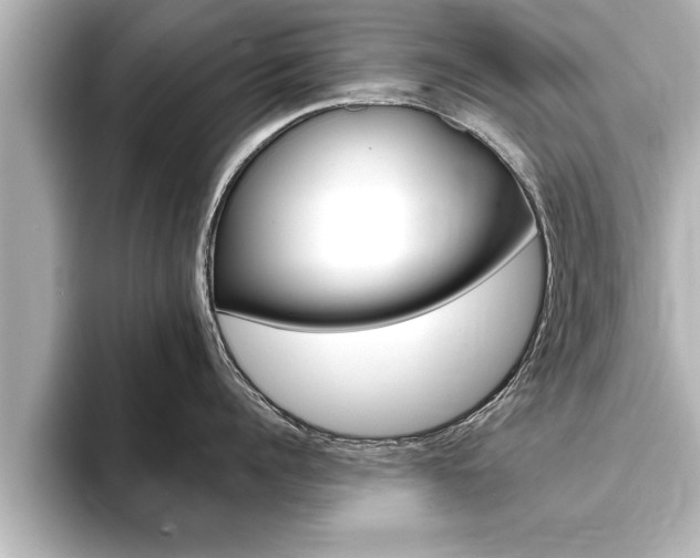 X0000093740960200710160747