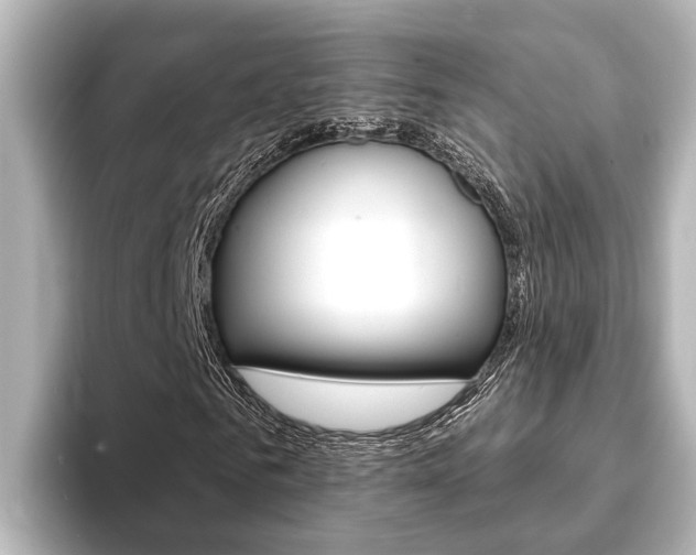 X0000093740961200710160747