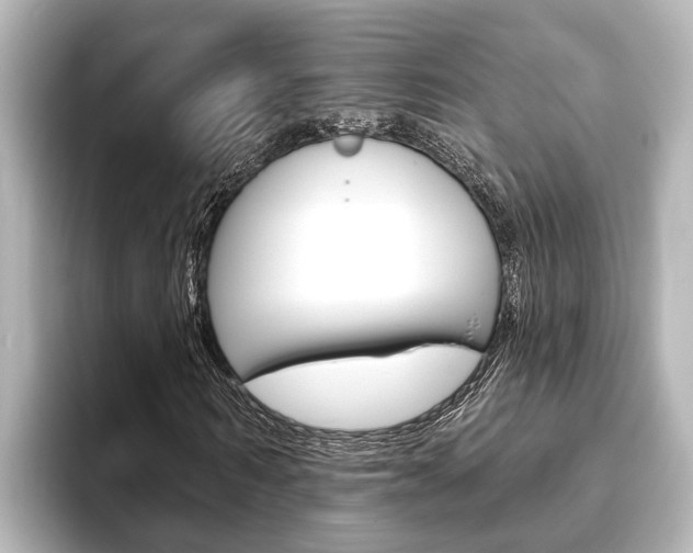 X0000093740962200710160746