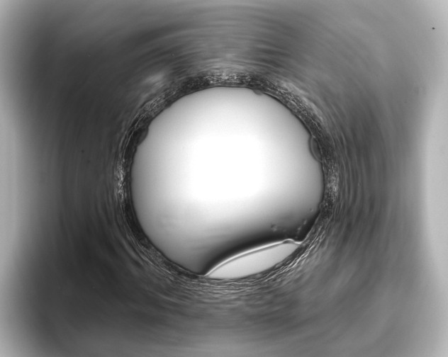 X0000093740964200710160746