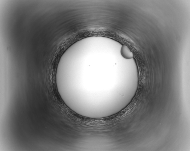 X0000093740966200710160746