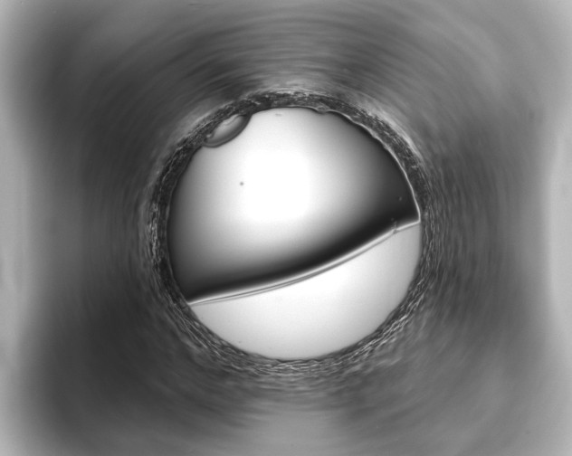 X0000093740968200710160746