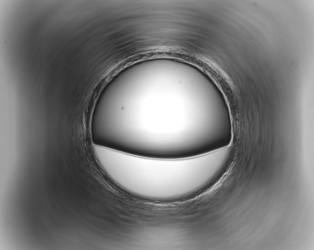 X0000093740969200710160746