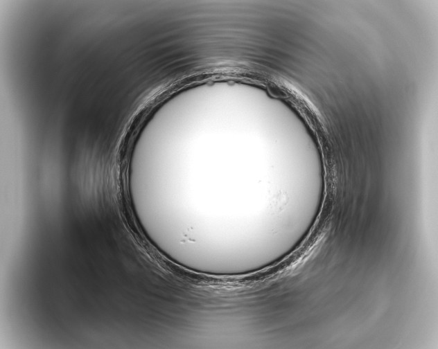 X0000093740970200710160746