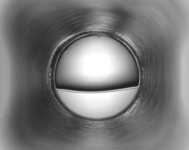 X0000093740971200710160746