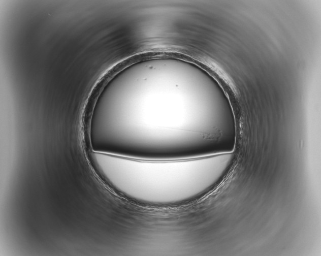 X0000093740972200710160746