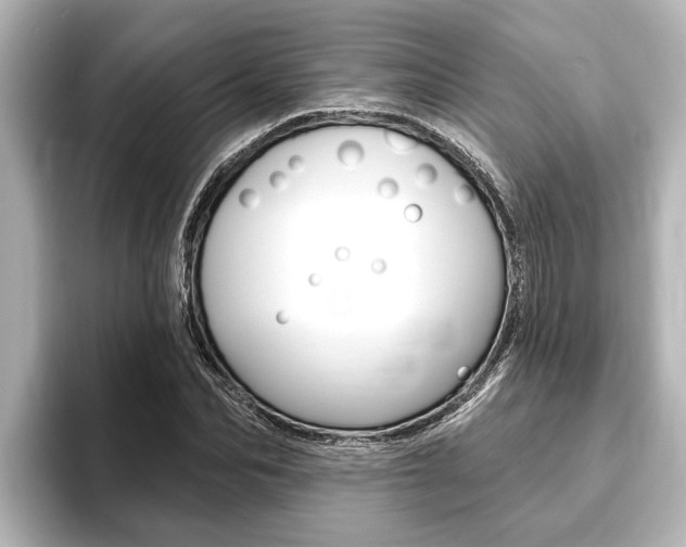 X0000093740974200710160746