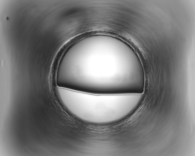 X0000093740975200710160746