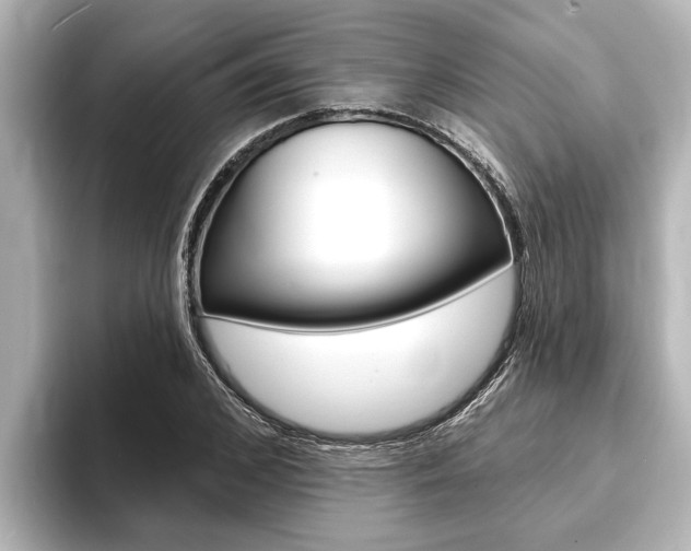 X0000093740976200710160746