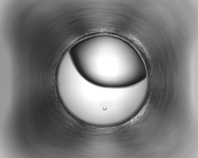 X0000093740977200710160746