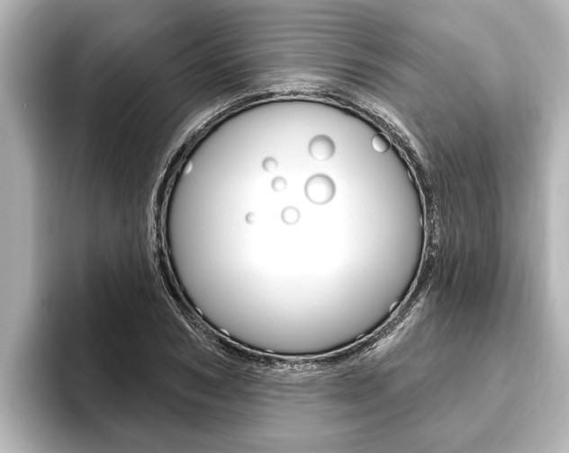 X0000093740978200710160746