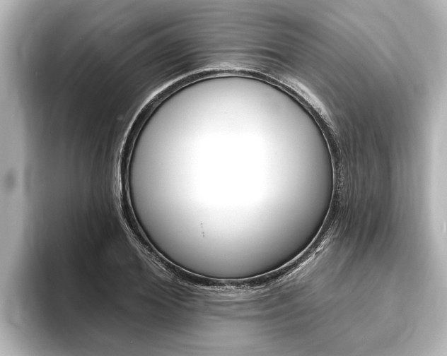X0000093740980200710160746
