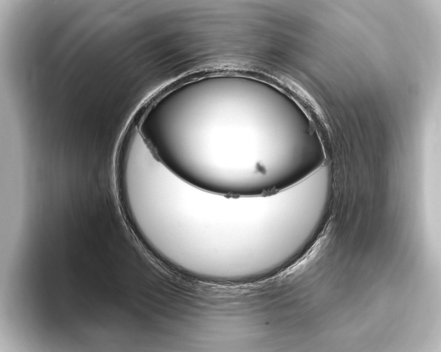 X0000093740981200710160746