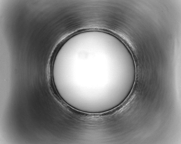 X0000093740982200710160746