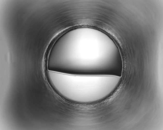 X0000093740983200710160746