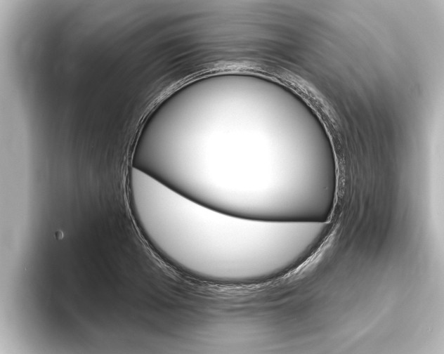 X0000093740985200710160746