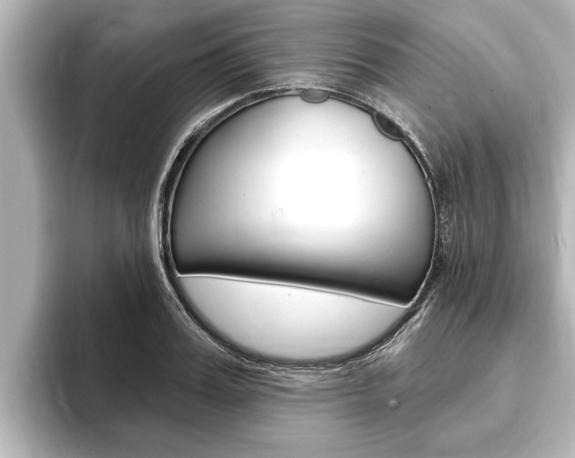 X0000093740987200710160746