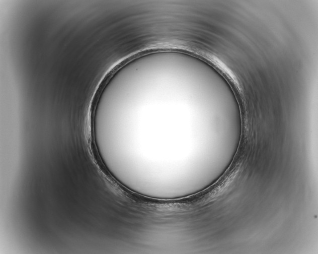 X0000093740988200710160746