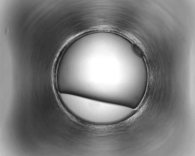 X0000093740989200710160746