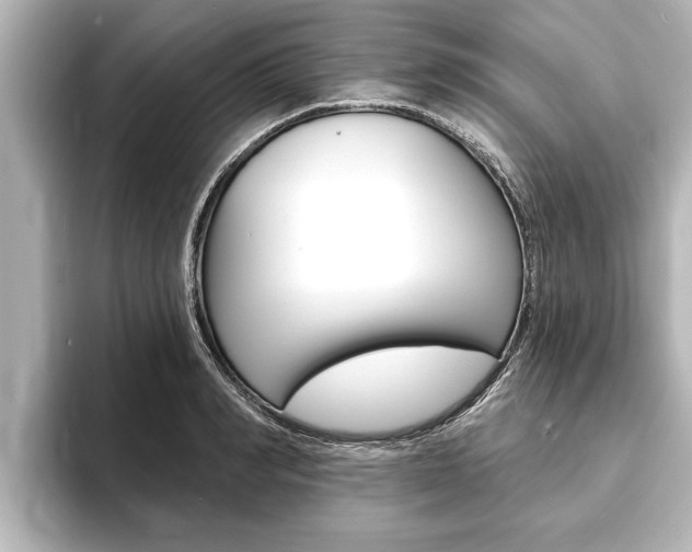 X0000093740990200710160746