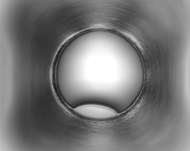 X0000093740991200710160746
