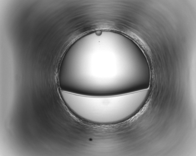 X0000093740993200710160746
