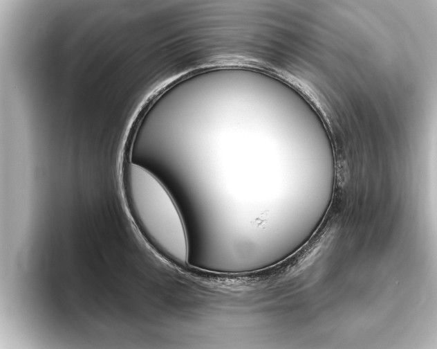 X0000093740995200710160746
