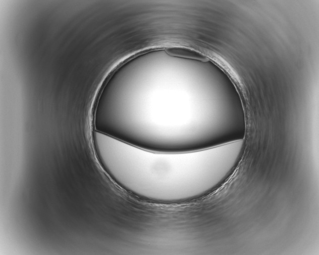 X0000093740996200710160746