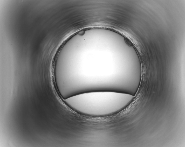 X0000093740998200710160746