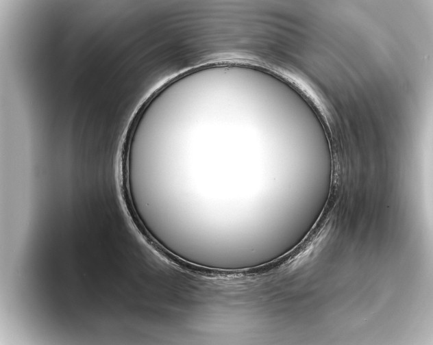 X0000093740999200710160746