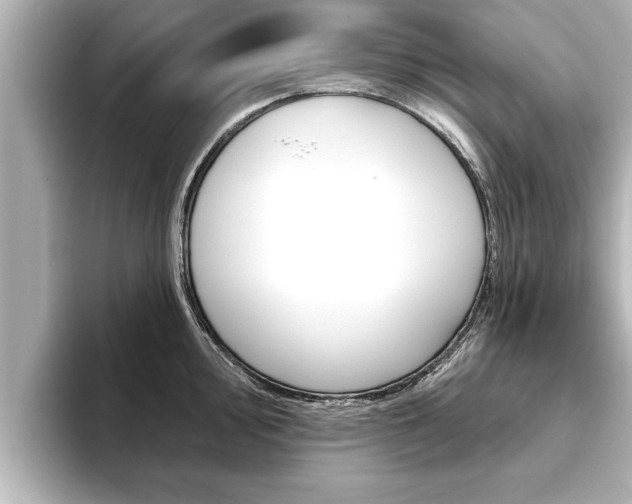 X0000093741000200710160746